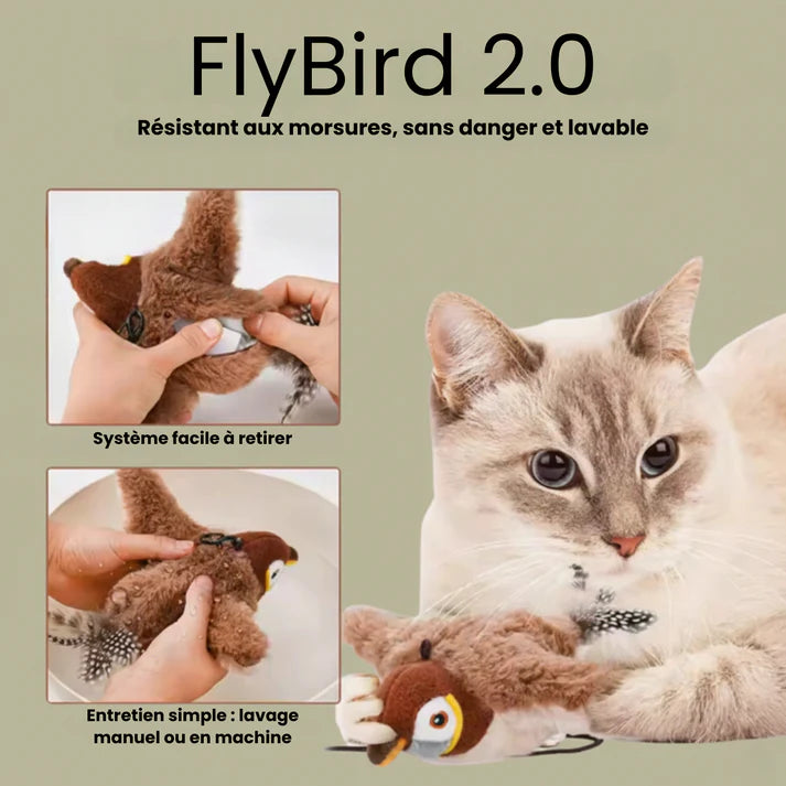 FlyBird 3.0
