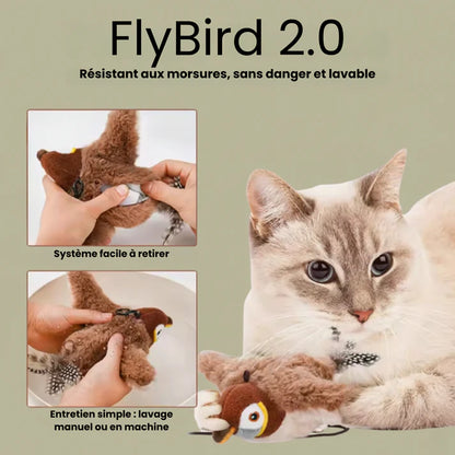 FlyBird 3.0