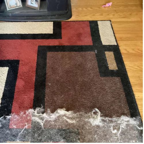 Cleaner EXTRA™