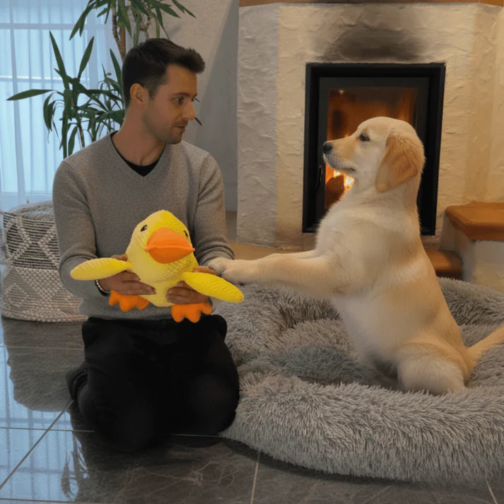 ZenDuck™ - Canard anti-stress
