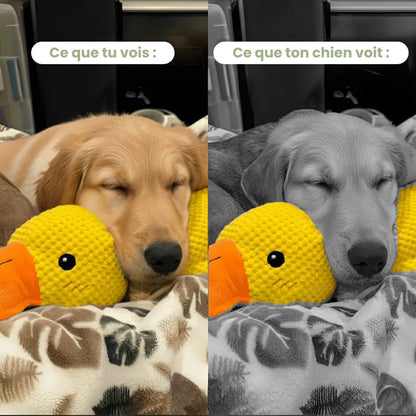 ZenDuck™ - Canard anti-stress
